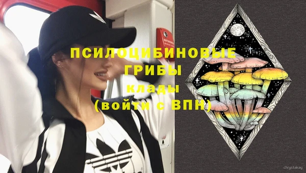 прущие крисы Алексеевка