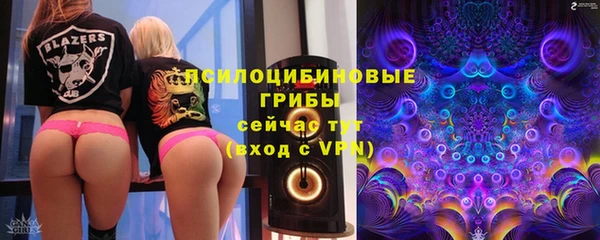прущие крисы Алексеевка