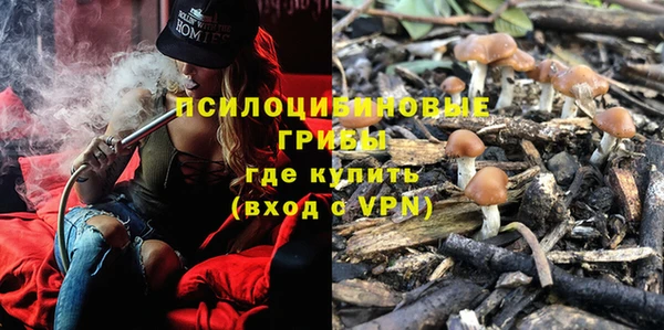 прущий лед Абдулино
